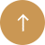 国内顶级